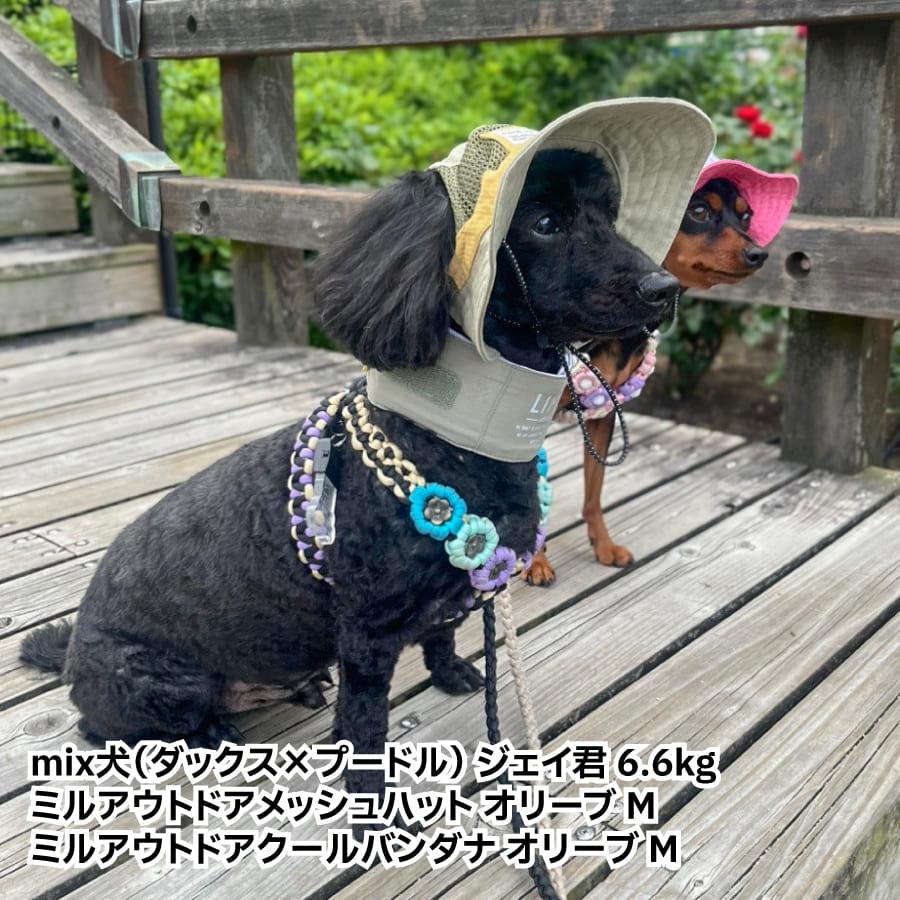 LIFELIKE（ライフライク） 柴犬 帽子 ハット 犬 被り物 かぶりもの UV