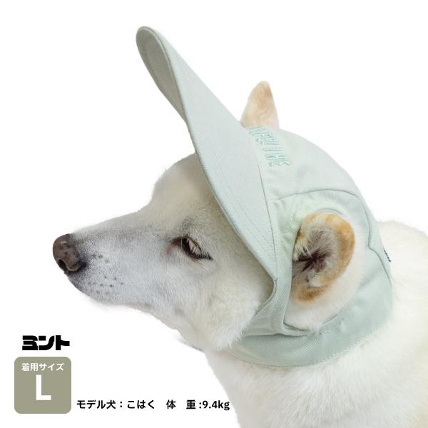 LIFELIKE（ライフライク） 犬 帽子 大型犬 被り物 かぶりもの キャップ