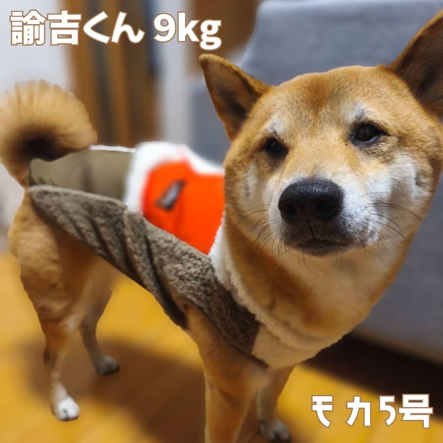 LIFELIKE（ライフライク） 送料無料 犬 服 冬服 柴犬 寒さ対策 暖かい