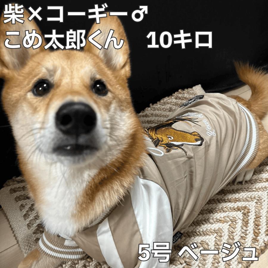 柴犬ブルー スカジャン 柴犬柄 石原雄先生デザイン ハルさん 刺繍