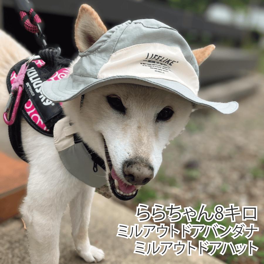 LIFELIKE（ライフライク） 柴犬 帽子 ハット 犬 被り物 かぶりもの UV