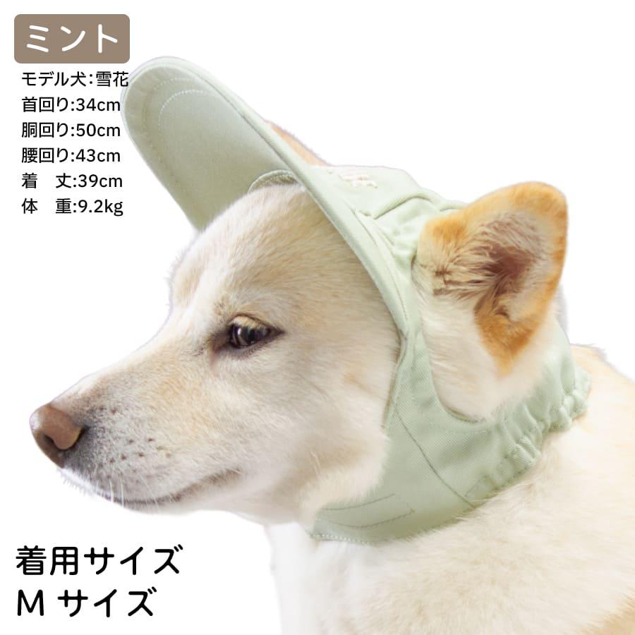 LIFELIKE（ライフライク） 柴犬 中型犬 小型犬 帽子 夏 ペールトーン