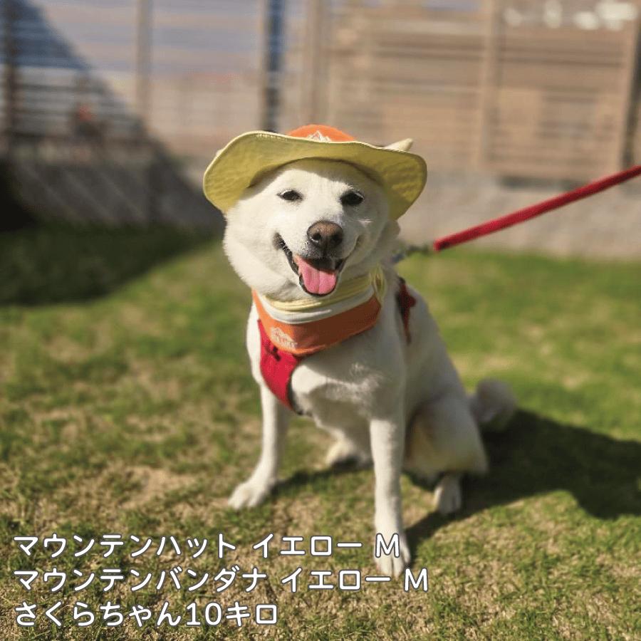 LIFELIKE（ライフライク） 犬 ネッククーラー クール ネック 柴犬 豆柴