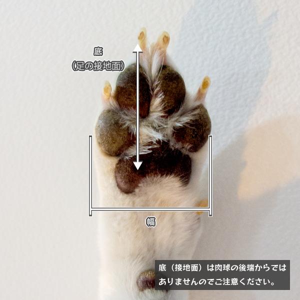 柴犬 犬 靴下 ロング ソックス 中型犬 足舐め防止 肉球保護 防寒 ヘルスケア くつした 4枚1組 トライバルロング ラバーソックス L 55r005 柴犬の服屋さん One歩 通販 Yahoo ショッピング
