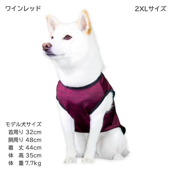 50％OFF 在庫処分 犬 服 犬服 柴犬 豆柴 中型犬 犬用品 薄手 春