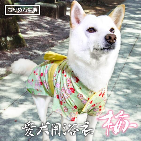 アウトレット Off 犬服 浴衣 豆柴 柴犬 中型犬 着物 お祭り 夏 女の子 かわいい 愛犬用浴衣 梅 7ｋｇ N Pt1 柴犬の服屋さん One歩 通販 Yahoo ショッピング