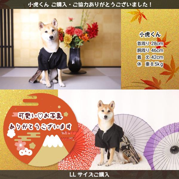 犬 服 犬服 着物 柴犬 豆柴 犬用品 中型犬 七五三 お正月 結婚式