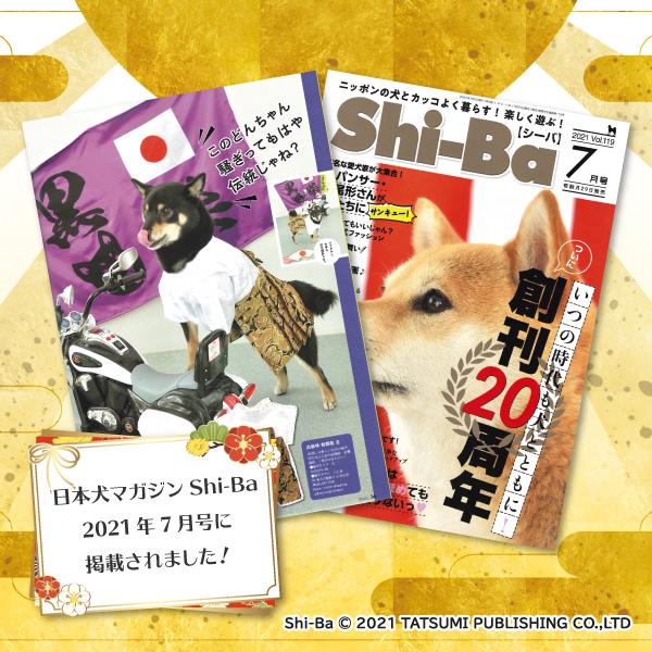 犬 袴 着物 豆柴 柴犬 犬用品 小型犬 中型犬 七五三 お正月 結婚式
