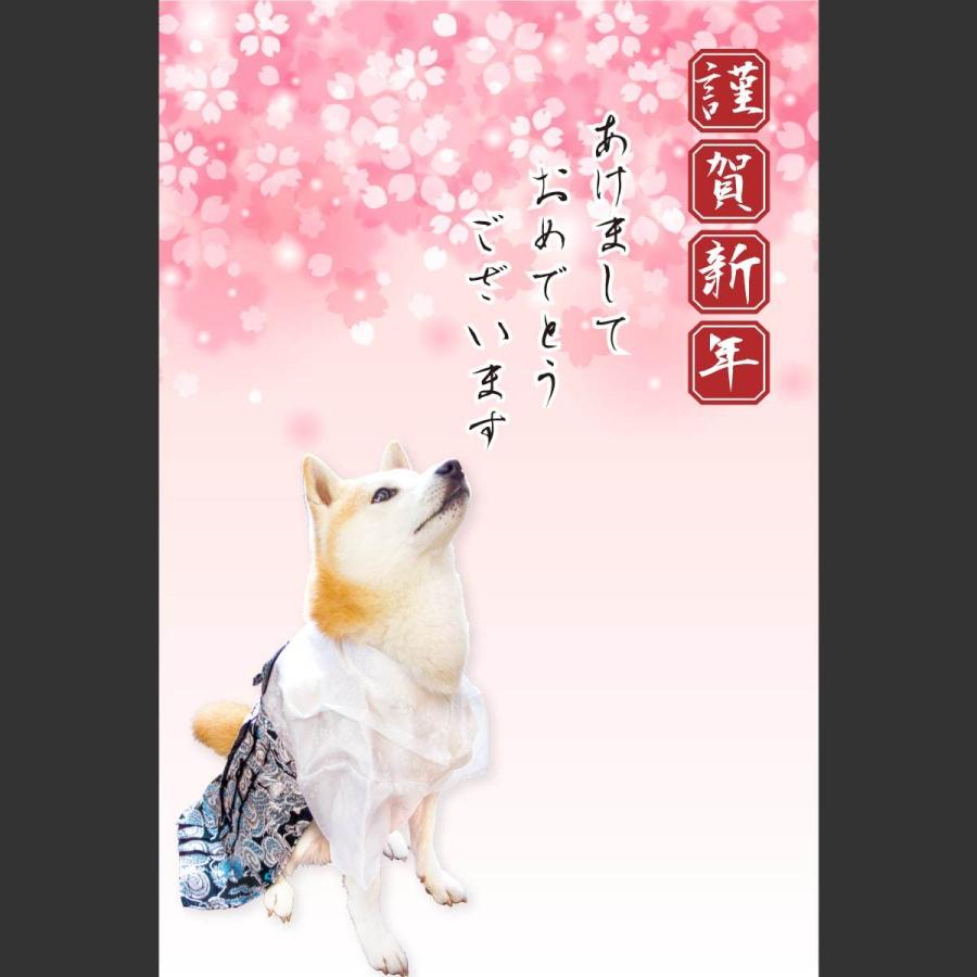 犬 袴 着物 豆柴 柴犬 犬用品 小型犬 中型犬 七五三 お正月 結婚式