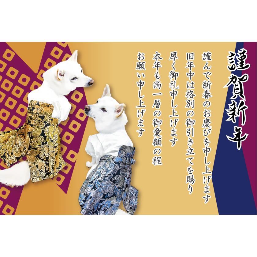 犬 袴 着物 豆柴 柴犬 犬用品 小型犬 中型犬 七五三 お正月 結婚式