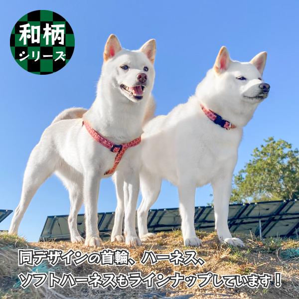 犬 リード 犬用品 おしゃれ 首輪 柴犬 豆柴 中型犬 アクセサリー