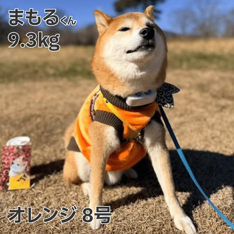 VERY 送料無料 犬 服 冬服 暖かい 柴犬 ボーダーコリー 中型犬 防寒 犬