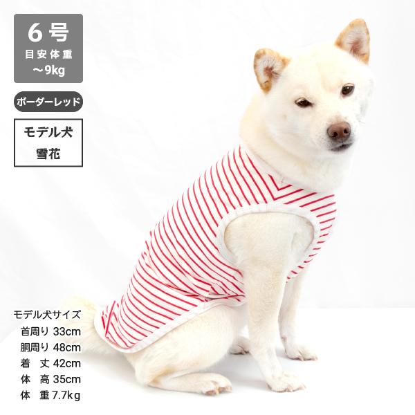 訳あり 20％OFF 犬 服 柴犬 犬服 豆柴 小型犬 オールシーズン 春