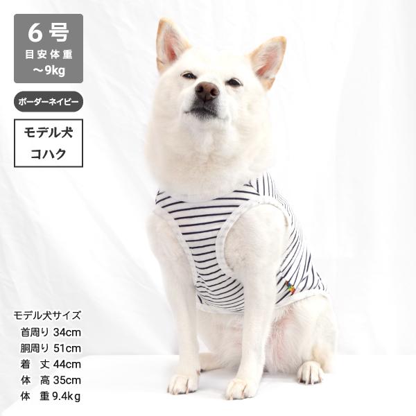 犬 服 柴犬 犬服 中型犬 オールシーズン 春夏秋冬 シャツ タンクトップ コットンタンクトップ 6号・7号 〜12kg 大きいサイズ｜onepo｜16