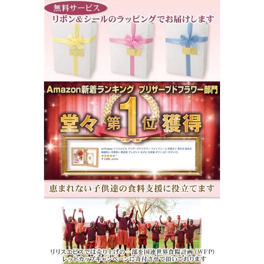 リリスエピス Lilys Pice プリザーブドフラワー フォトフレーム 写真立て 母の日 ギフト プレゼント日本製 レモンイエ One S More 通販 Yahoo ショッピング