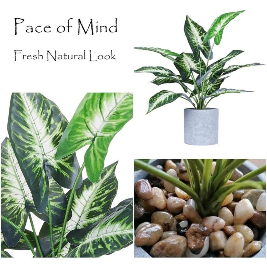 人工観葉植物 フェイクグリーン フェイクフラワー 鉢植え 造花 人工植物 インテリア 飾り 世話いらず 水やり不要 オフィス ホーム デコレ One S More 通販 Yahoo ショッピング