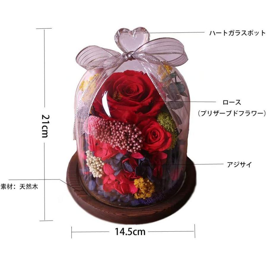 プリザーブドフラワー 母の日 ギフト 赤いバラ ガラスポット 枯れない花 ドライフラワー ロース 永遠の花 高級感 フラワー ラッピング済み One S More 通販 Yahoo ショッピング