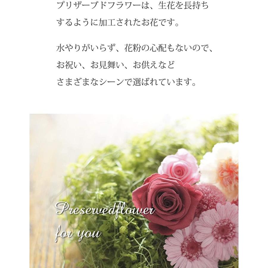 お気にいる プリザーブドフラワーギフト 誕生日 お祝い セシル ミモザイエロー 新版 Www Aqtsolutions Com