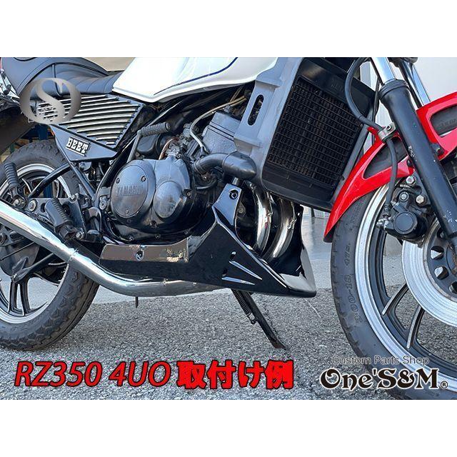 NEW アンダーカウル 黒 ツインダクトVer アンダーカウル用ステー NEW アンダーカウル 黒 ツインダクトVer アンダーカウル用ステー