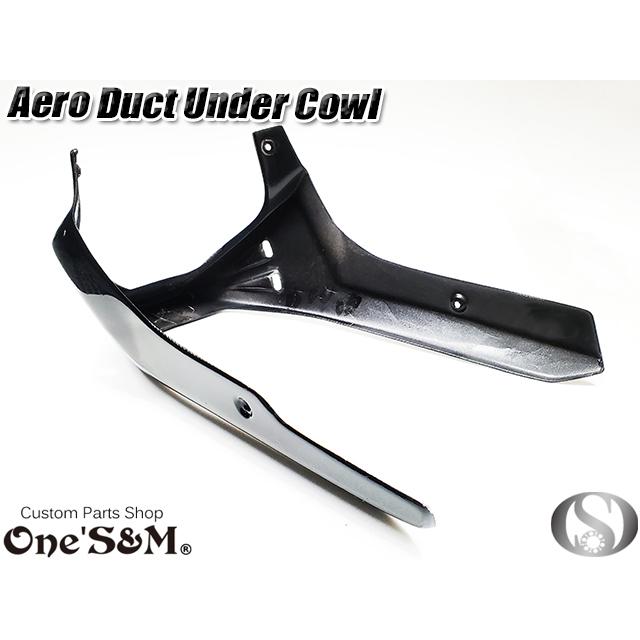 NEW アンダーカウル 黒 ツインダクトVer アンダーカウル用ステー