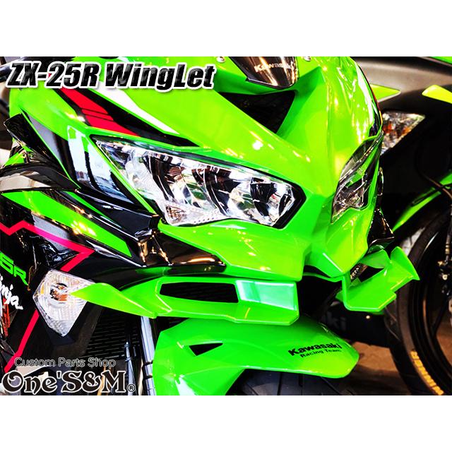 ZX-25R Ninja ディフューザー ウイングレット フロント カナード ZX-25R Ninja ディフューザー ウイングレット フロント カナード