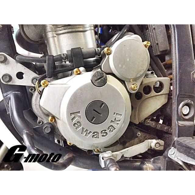 ゆG-moto Dトラッカー250 対応 ステンレス製 ゴールドボルト 33本Set