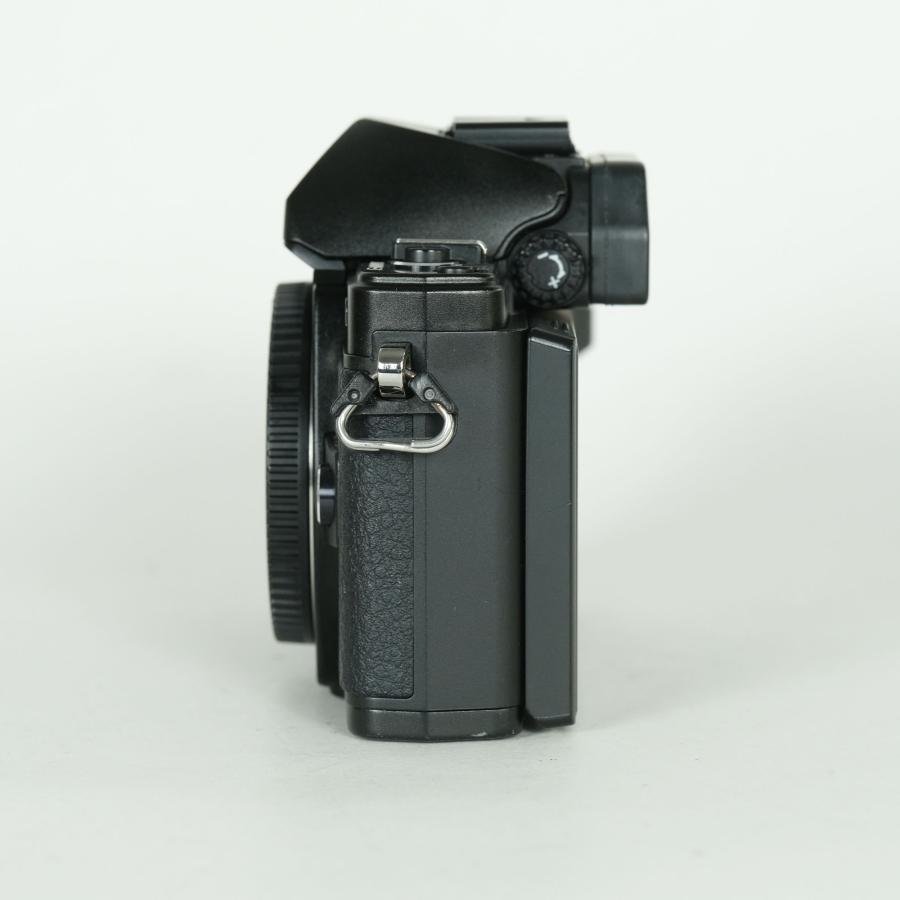 美品 | シャッター数2,600回] OLYMPUS OM-D E-M10 Mark II [ボディ
