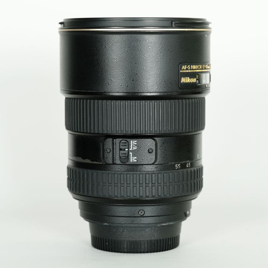 美品｜高級フィルター付] Nikon AF-S DX Zoom-Nikkor 17-55mm f/2.8G