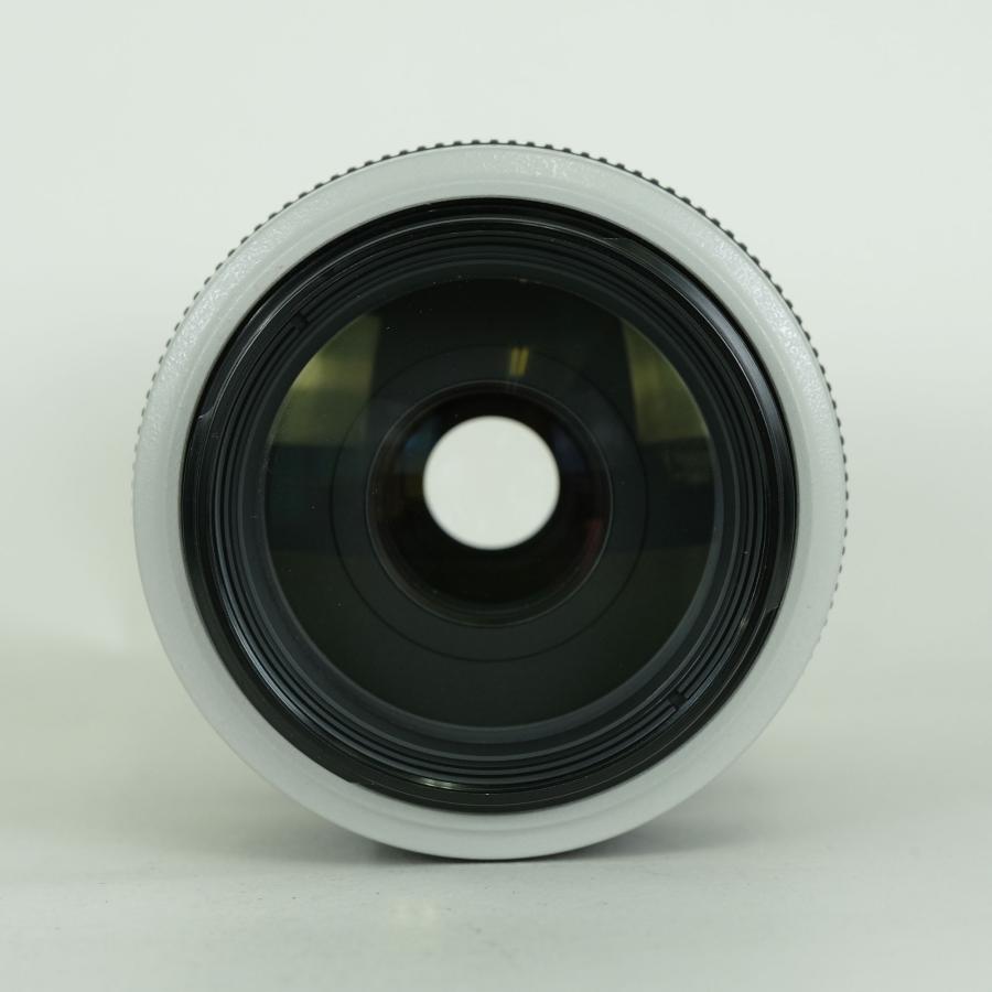 並品] Canon EF70-300mm F4-5.6L IS USM | EFマウント : ONESCENE