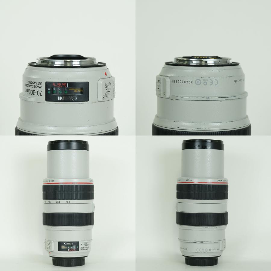 並品] Canon EF70-300mm F4-5.6L IS USM | EFマウント : ONESCENE