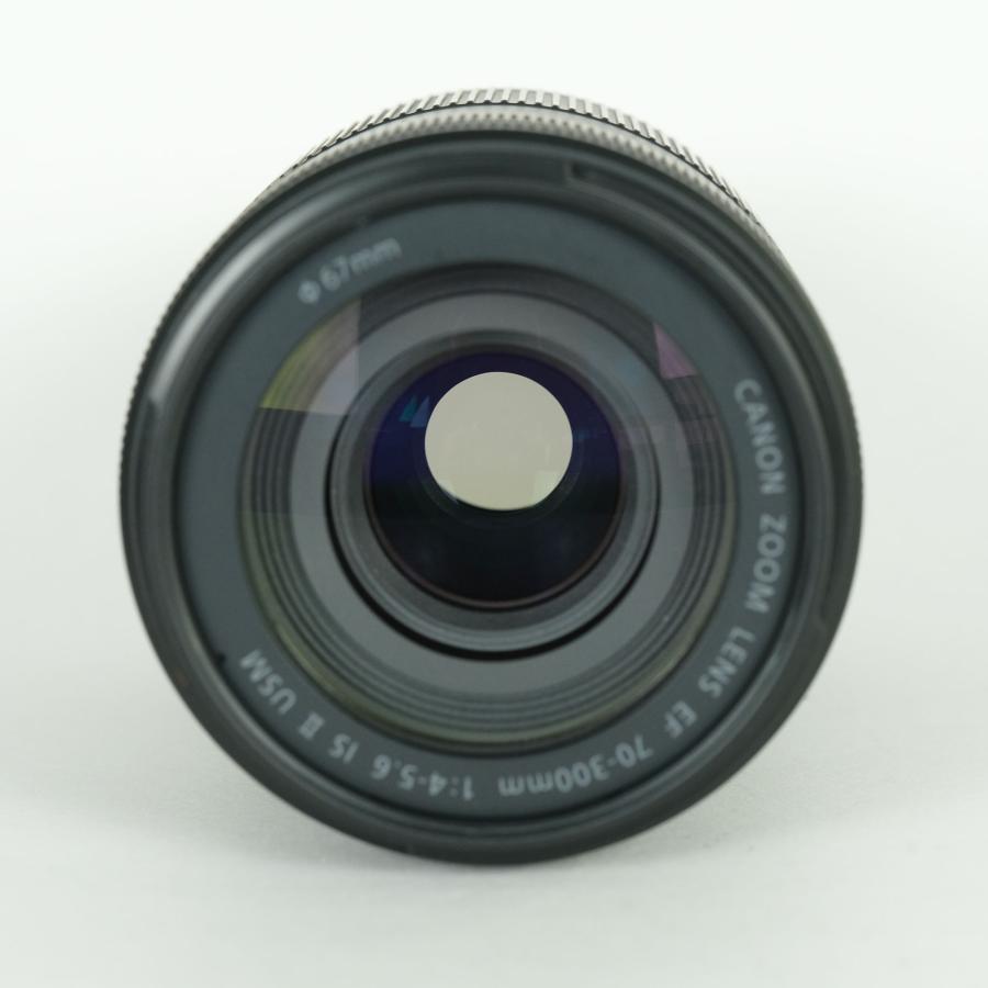 良品 | フード・フィルター付] Canon EF70-300mm F4-5.6 IS II USM EF