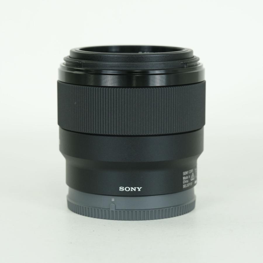 美品 | 高級フィルター付] SONY FE 50mm F1.8 SEL50F18F Eマウント