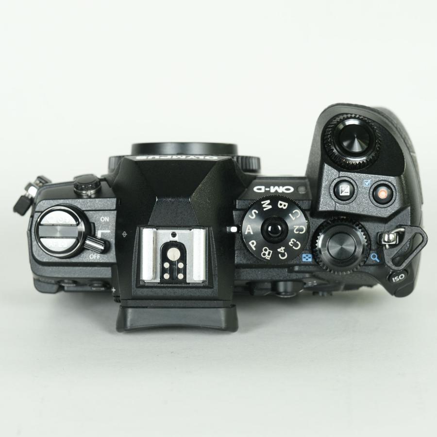 良品 | シャッター数101,850回] OLYMPUS OM-D E-M1 Mark III [ボディ