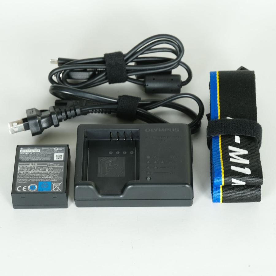 良品 | シャッター数101,850回] OLYMPUS OM-D E-M1 Mark III [ボディ