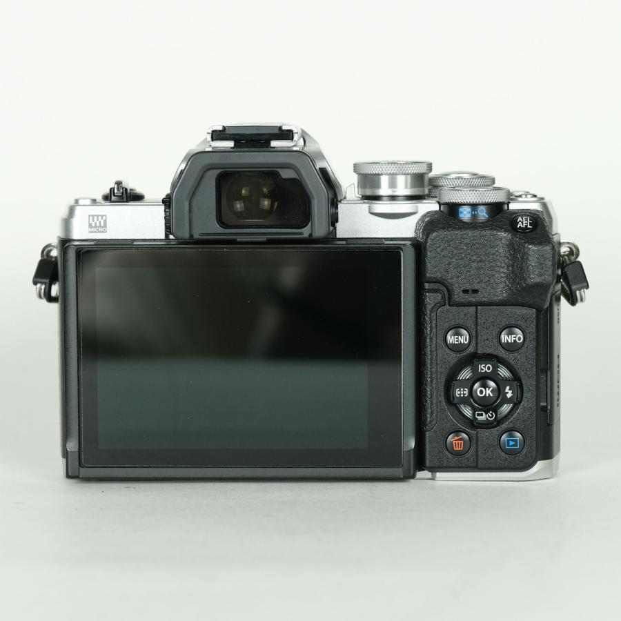 美品 | シャッター数4,655回] OLYMPUS OM-D E-M10 Mark IV [ボディ