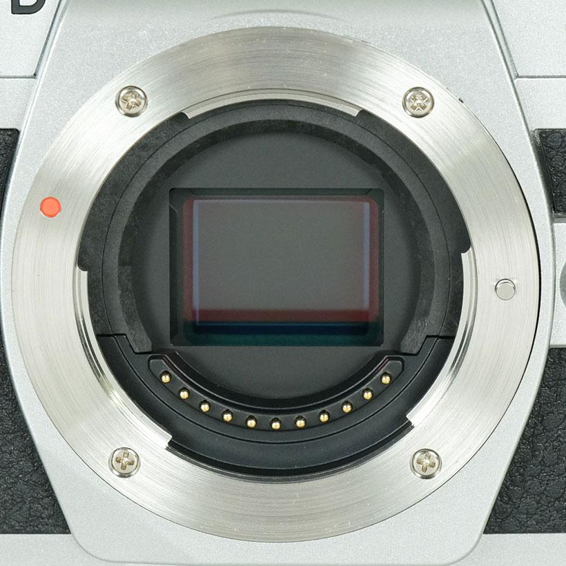 美品 | シャッター数4,655回] OLYMPUS OM-D E-M10 Mark IV [ボディ