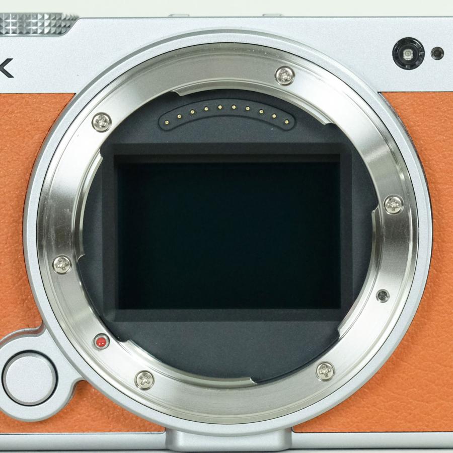 良品] Panasonic LUMIX DC-S9 [キャメルオレンジ] | LEICA Lマウント