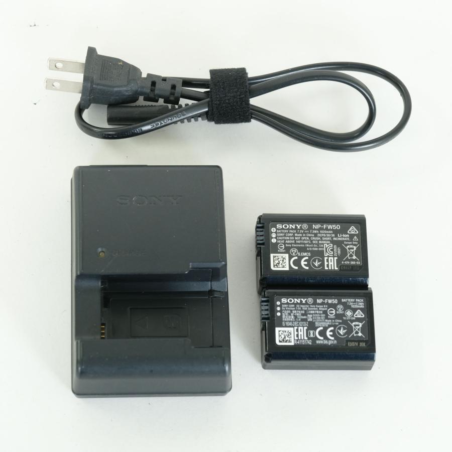 良品 | シャッター数119,185回] SONY α7S II（ILCE-7SM2） Eマウント