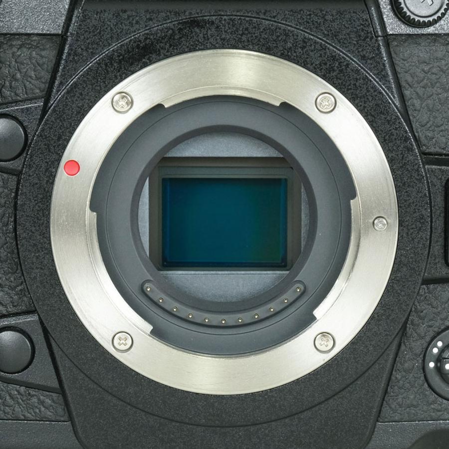 良品 | シャッター数20,130回] Panasonic LUMIX DC-G9 PRO マイクロ