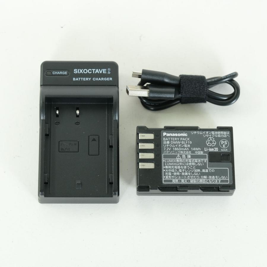 良品 | シャッター数20,130回] Panasonic LUMIX DC-G9 PRO マイクロ