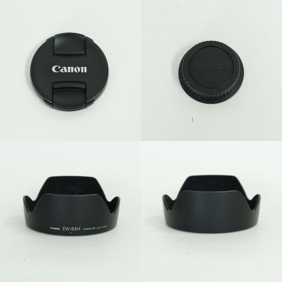 良品 | 高級フィルター付] Canon EF24-105mm F4L IS USM EFマウント
