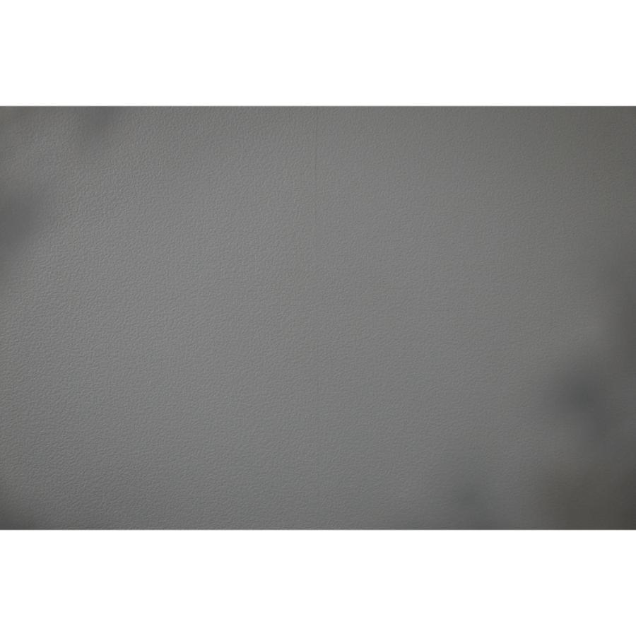 [難あり品 | シャッター数2，360回 ] RICOH GR DIGITAL IV | コンパクトデジタルカメラ_9