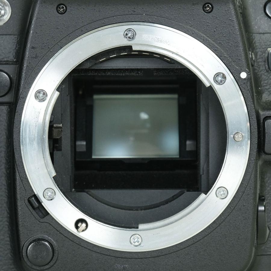 良品 | シャッター数13,088回] Nikon D80 ボディ ニコンFマウント