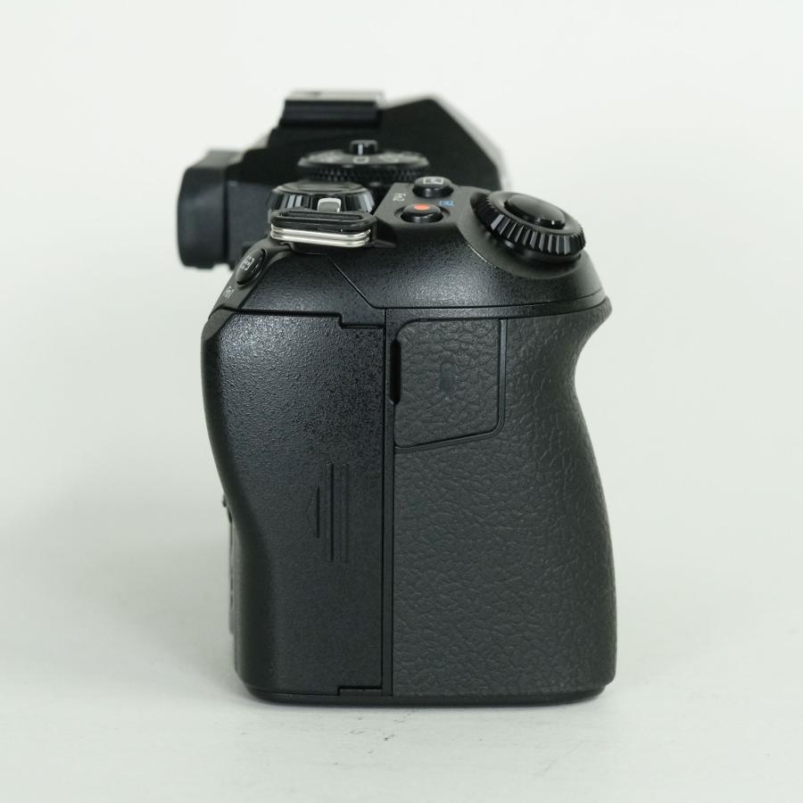 美品 | シャッター数4,963回] OLYMPUS OM-D E-M1 Mark II [ボディ