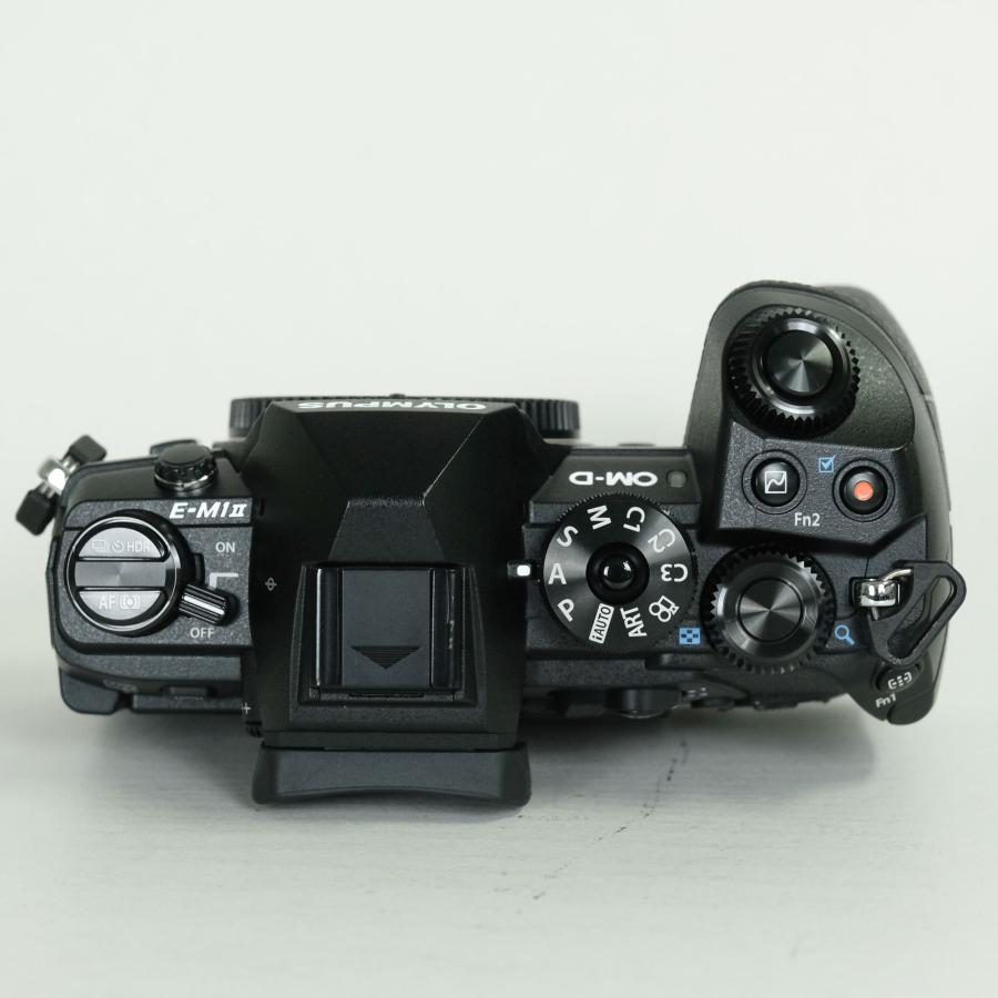 美品 | シャッター数4,963回] OLYMPUS OM-D E-M1 Mark II [ボディ