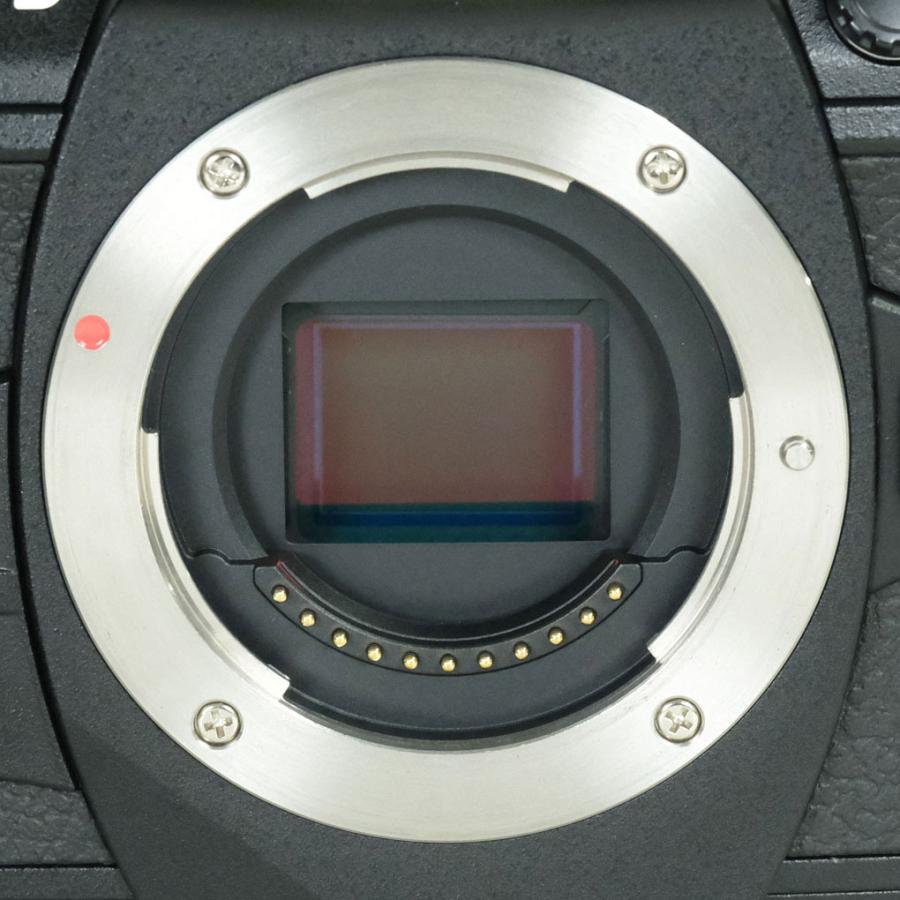 美品 | シャッター数4,963回] OLYMPUS OM-D E-M1 Mark II [ボディ