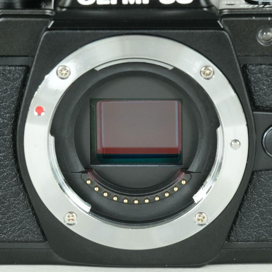 並品 | シャッター数6,546回] OLYMPUS OM-D E-M10 Mark II [ボディ