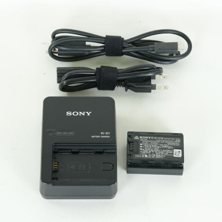良品 | シャッター数147,230回] SONY α7R IV（ILCE-7RM4） Eマウント