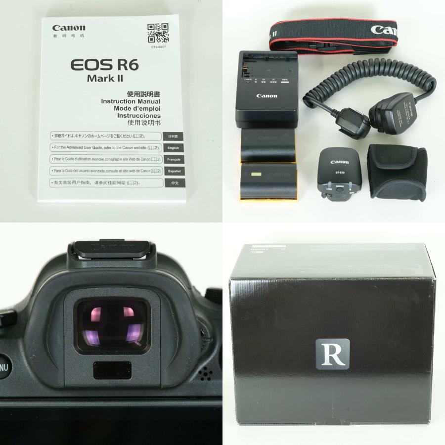 良品 | バッテリー2個・別売り付属品付] Canon EOS R6 Mark II [ボディ
