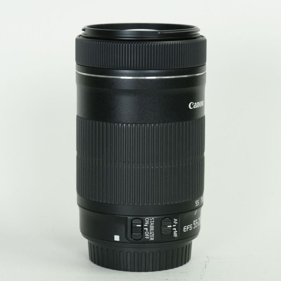 美品 | フィルター付] Canon EF-S55-250mm F4-5.6 IS STM EF-Sマウント